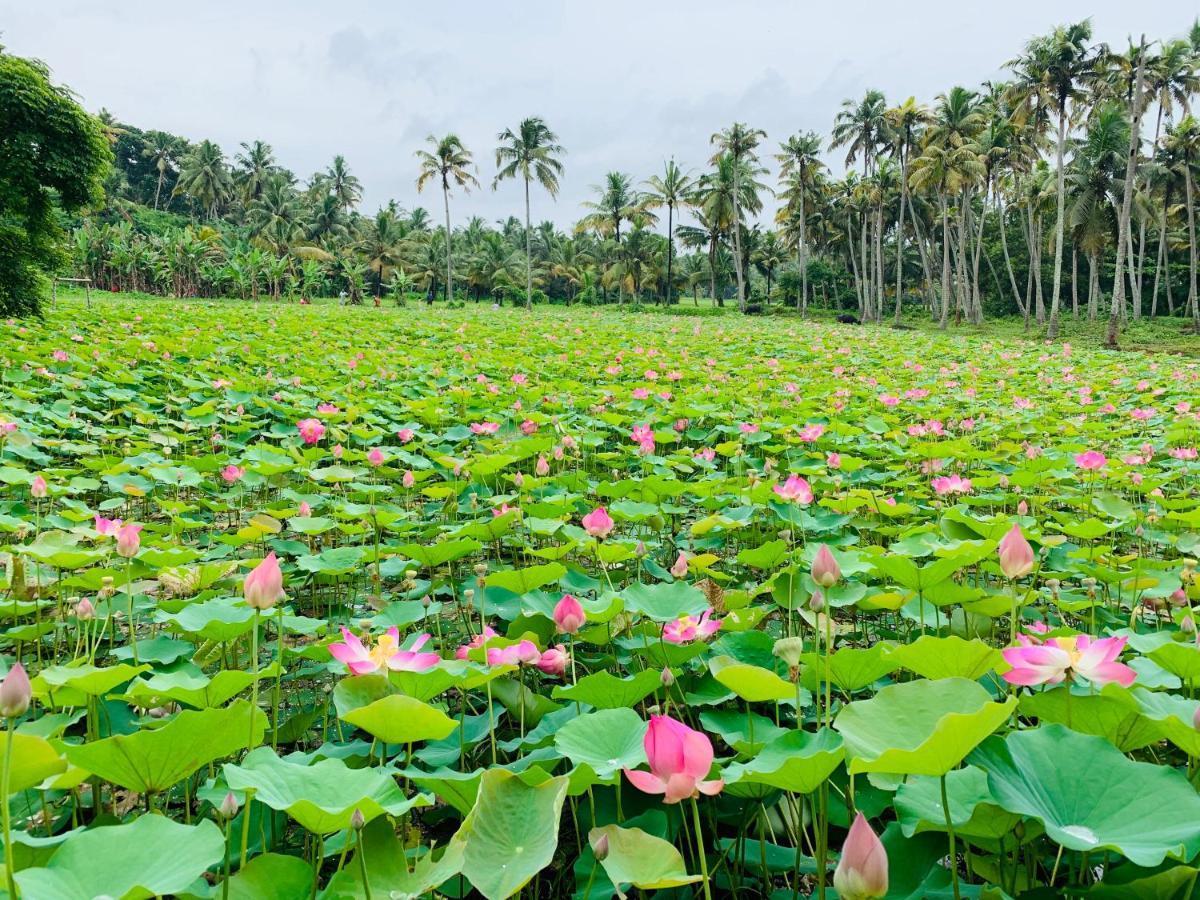 Maadathil Cottages Varkala Exteriör bild