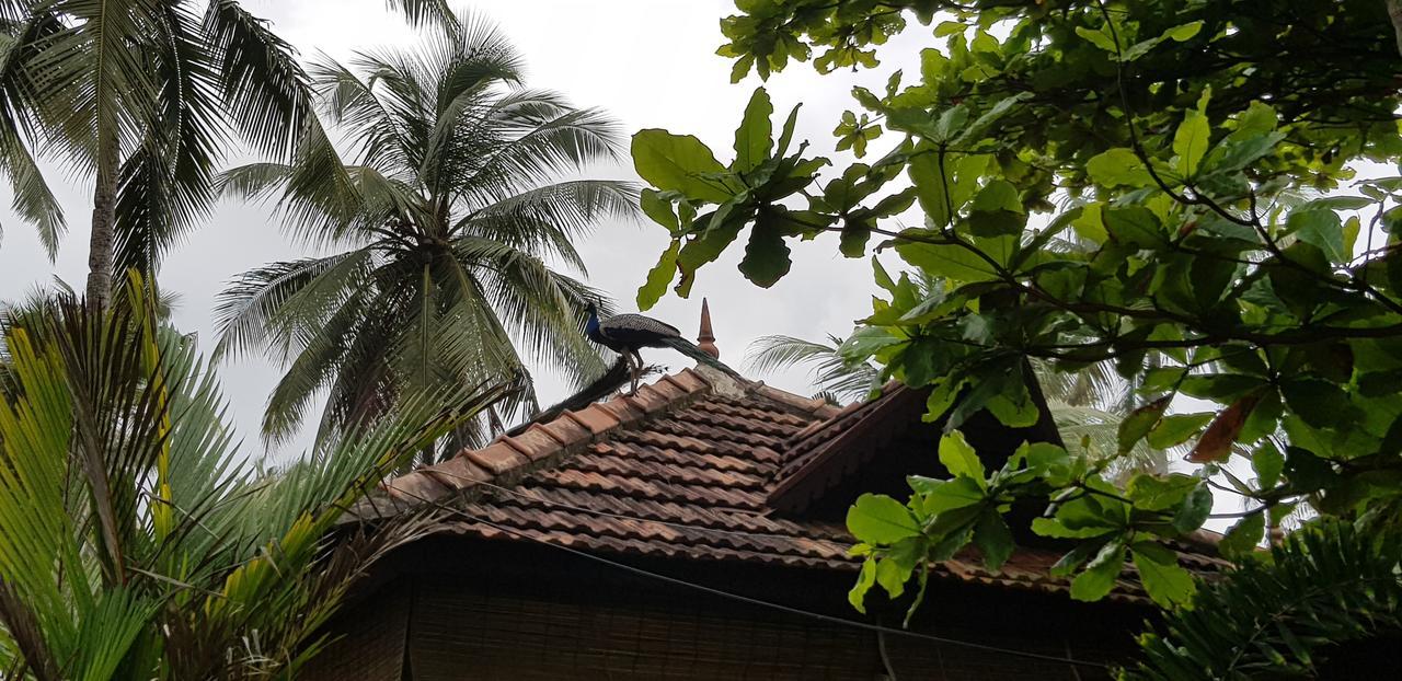Maadathil Cottages Varkala Exteriör bild